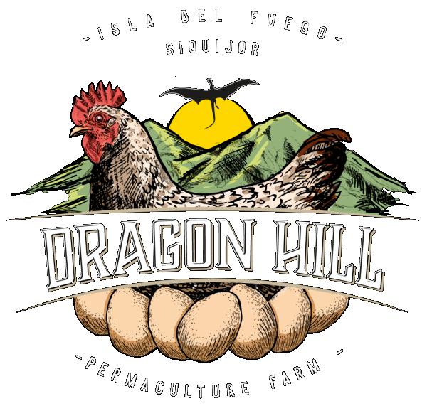 Dragon Hill Logo