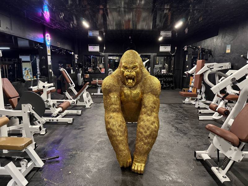 Golden Gorilla Gym - Siquijor fitness center